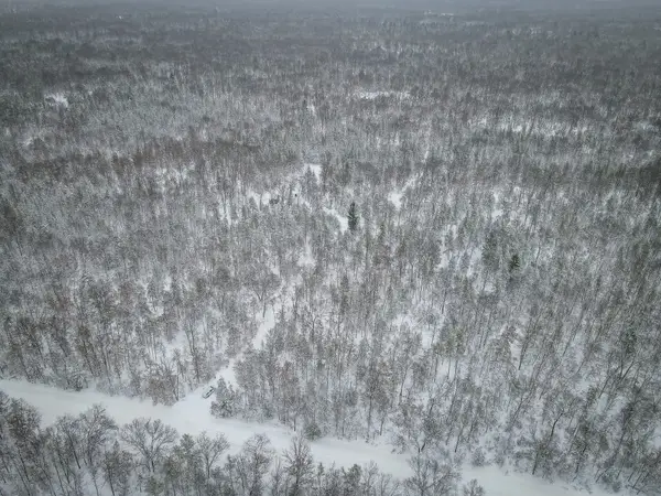 V/L Rybicki Road, Free Soil, MI 49411