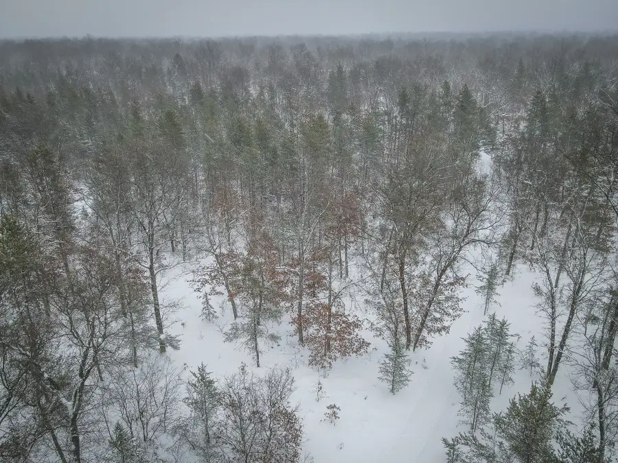 V/L Rybicki Road, Free Soil, MI 49411 - Image #2