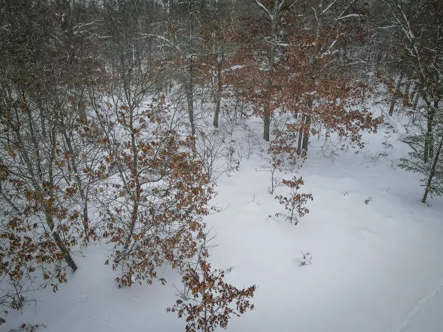 V/L Rybicki Road, Free Soil, MI 49411 - Image #3