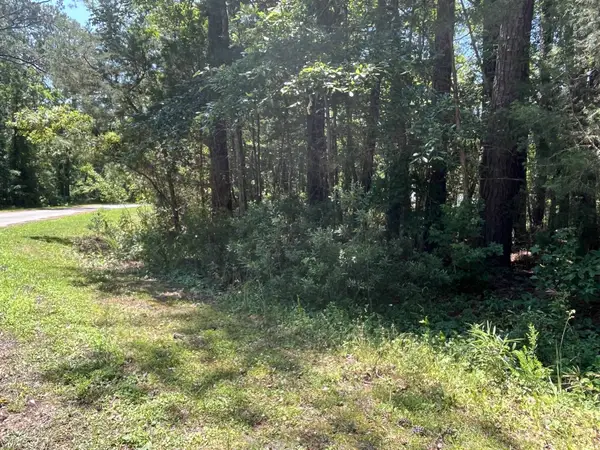 605 Peterson Place, Oriental, NC 28571