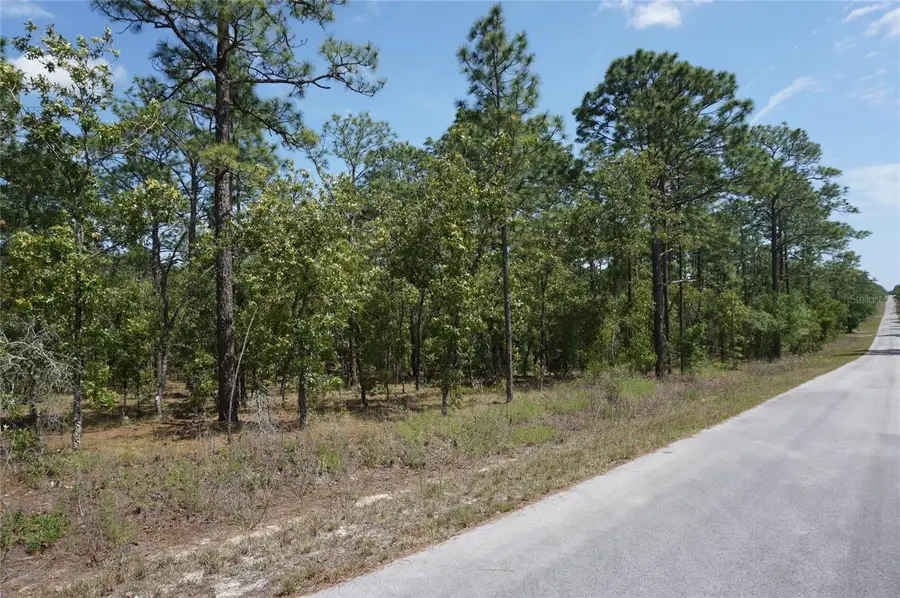 TBD NW Tree Top Road, Dunnellon, FL 34431 - #2