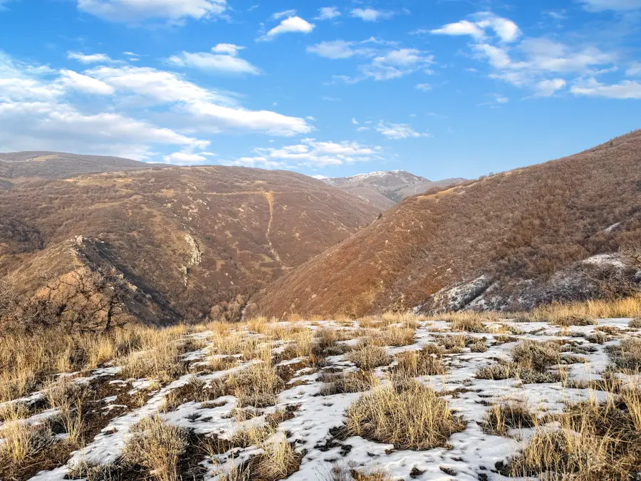 Address Withheld By Seller, Torrey, UT 84010 - Image #2