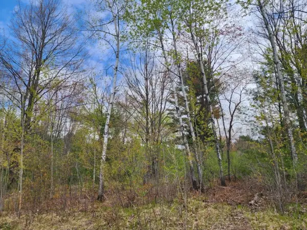 .34 Acres N 36TH AVENUE #Hilltop Avenue, Wausau, WI 54401