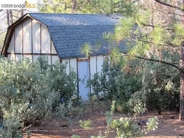 0000 Star Ridge Rd., Twain Harte, CA 95383