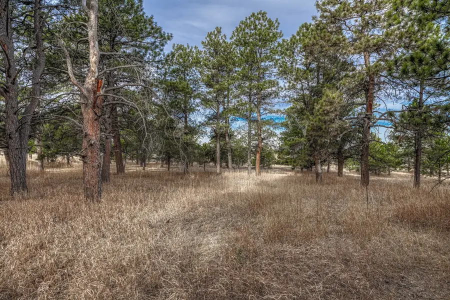 16511 Early Light Drive, Colorado Springs, CO 80908 - #3