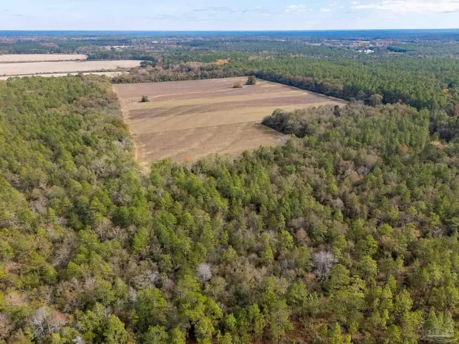 0000 N Bob Brooks Road, Baker, FL 32531 - Image #3