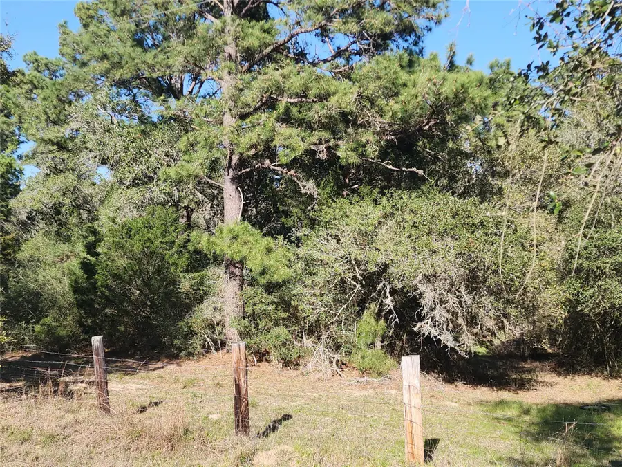 TBD Fm-3283, Hallettsville, TX 77964 - #3