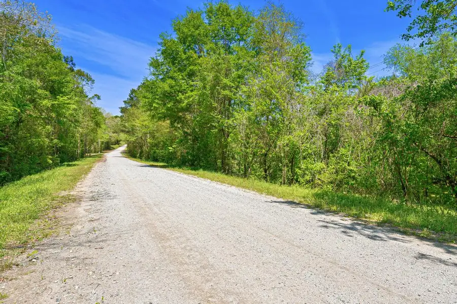 0 Dempsey Brown Road, Dewy Rose, GA 30634 - #3