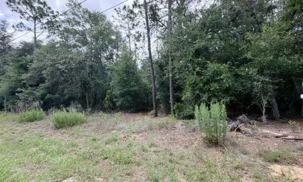 3223 E Scofield St, Inverness, FL 34453 - #2