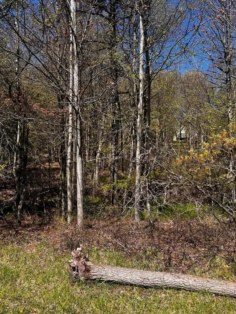 lot 5882 Tumbleweed Drive, Long Pond, PA 18334 - Image #2