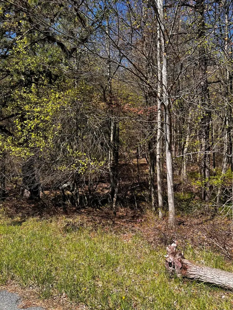 lot 5882 Tumbleweed Drive, Long Pond, PA 18334 - Image #3