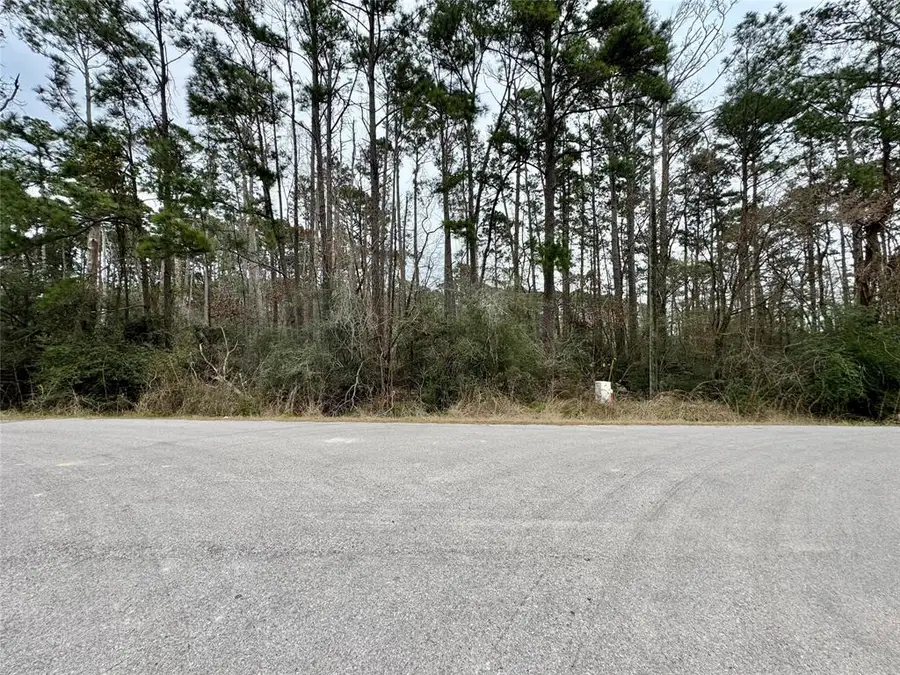 LOT 107 Whisperwood Drive, Onalaska, TX 77360 - Image #3