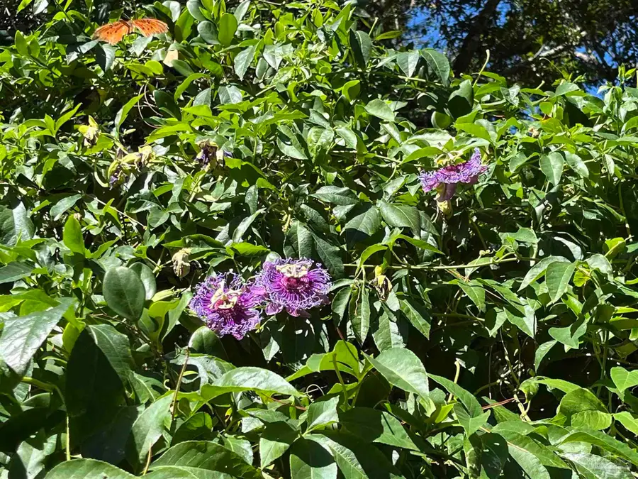 4648 Hickory Shores Blvd, Gulf Breeze, FL 32563 - Image #3