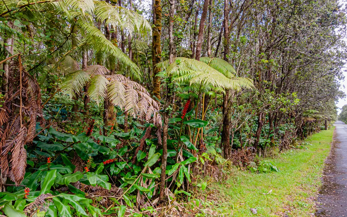11-3849 9th St, Volcano, HI 96785 - #1