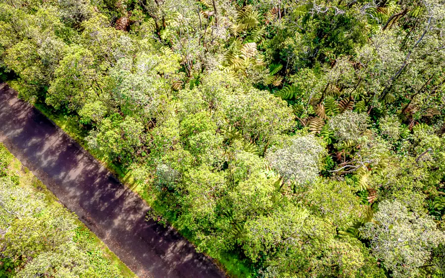 11-3849 9th St, Volcano, HI 96785 - #3
