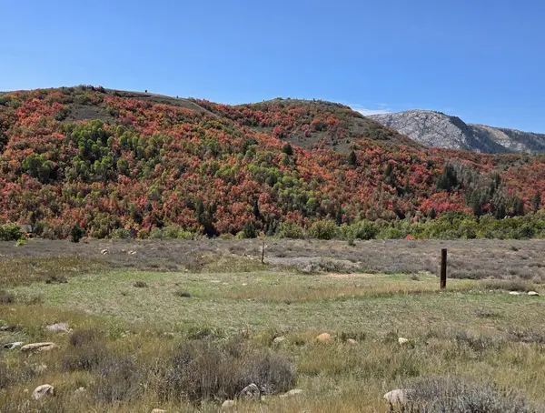 13075 E Pine Canyon Rd #345, Huntsville, UT 84317
