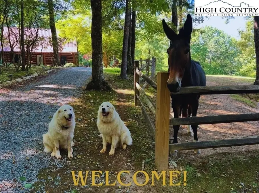 130 Hawkbill Road, Ferguson, NC 28624 - #3