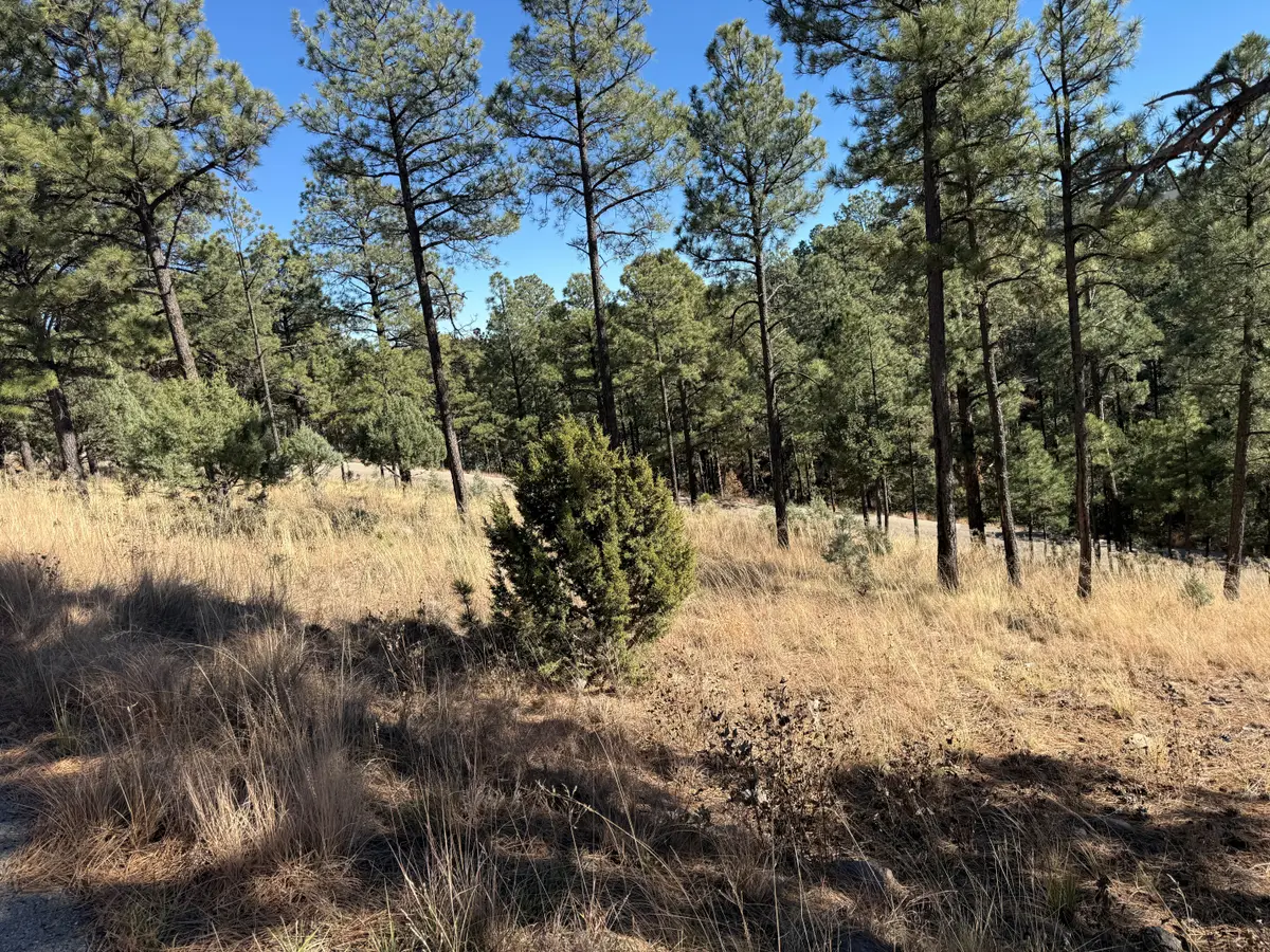 Lot 6 El Camino, Alto, NM 88312 - Image #1