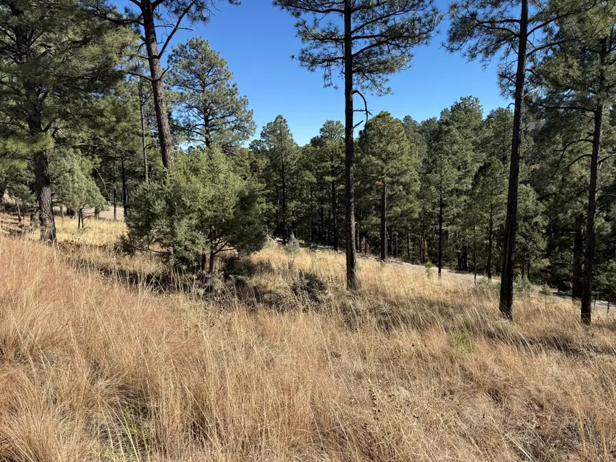 Lot 6 El Camino, Alto, NM 88312 - Image #2