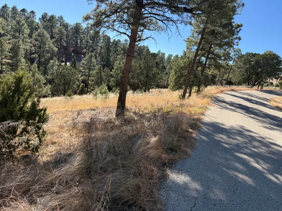 Lot 6 El Camino, Alto, NM 88312 - Image #3