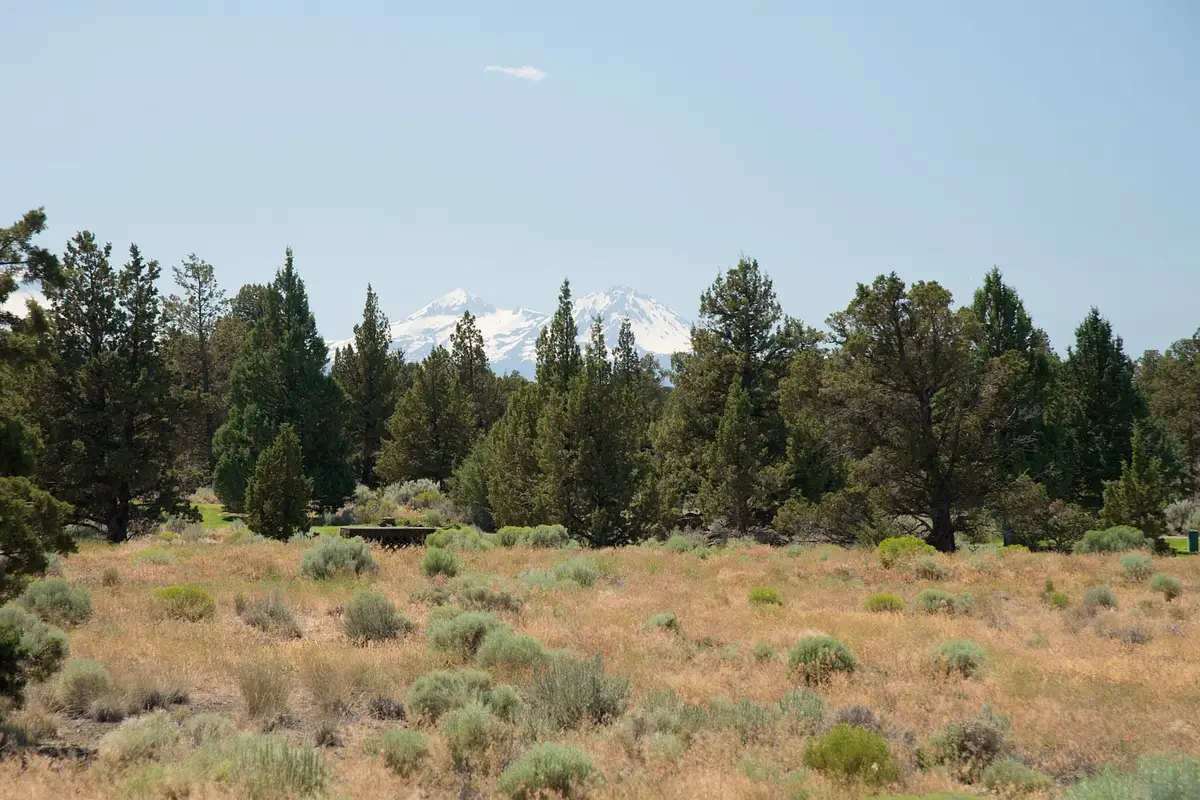 Pronghorn Estates Drive #Lot  272, Bend, OR 97701 - #1