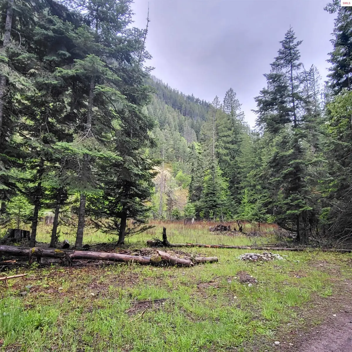 NNA Silver Ave, Bayview, ID 83803 - #1