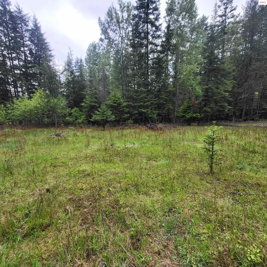 NNA Silver Ave, Bayview, ID 83803 - #2