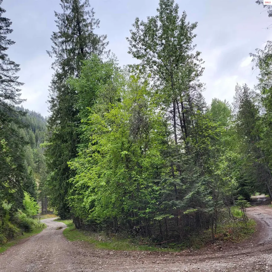 NNA Silver Ave, Bayview, ID 83803 - #3