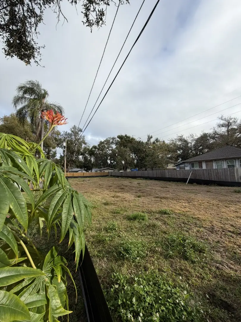 1006 Jones Street, Clearwater, FL 33755 - #3