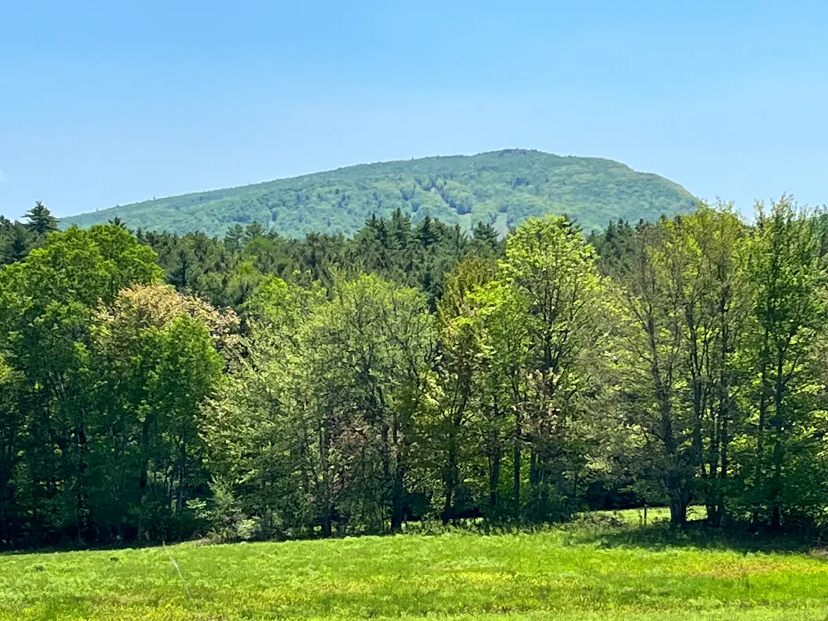 44 Franklin Hill Road, Lyme, NH 03768 - #1
