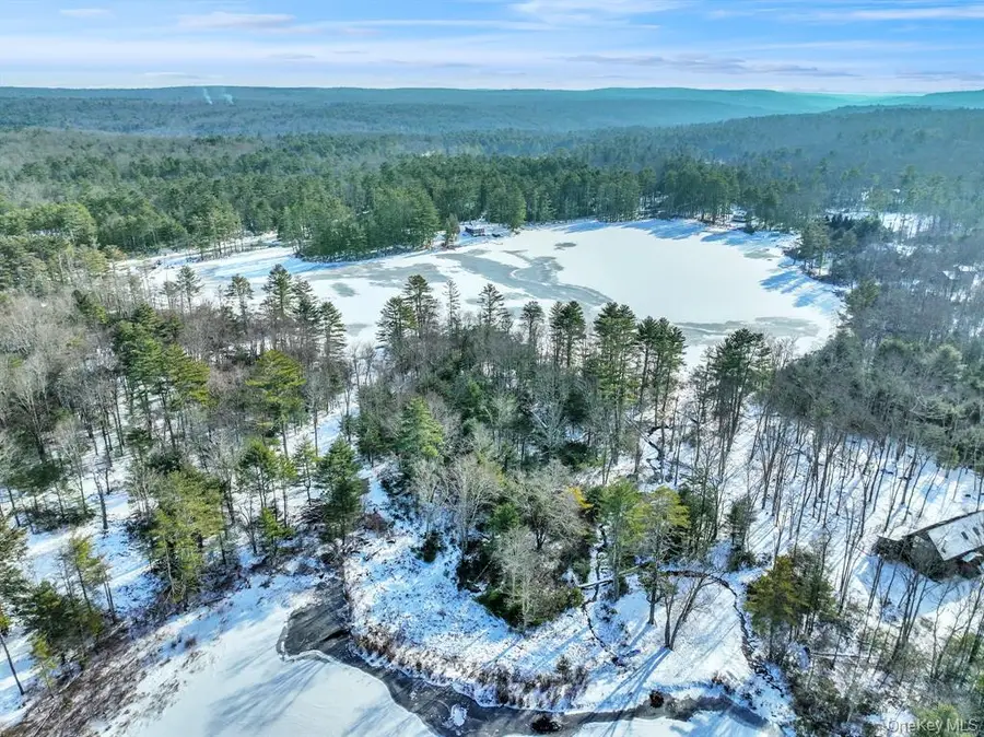 Lot  11.1 State Route 55 And Mail Road, Barryville, NY 12719 - Image #3