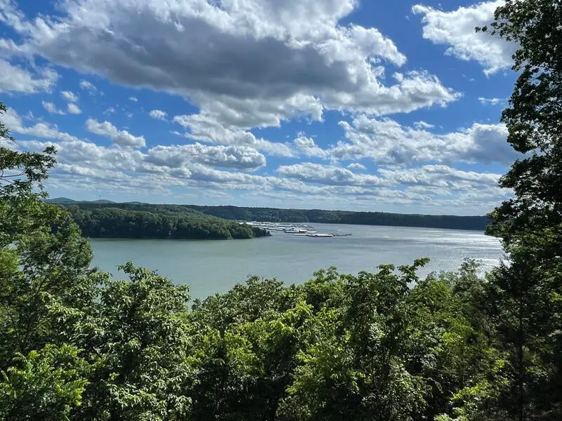 564 Lakescene Subd. Street, Nancy, KY 42544 - #3