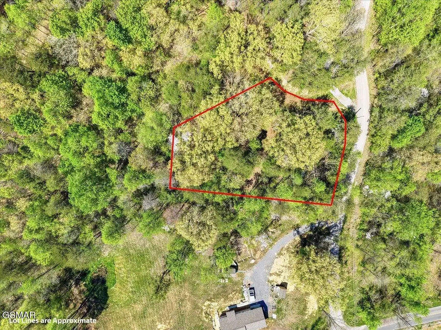 0 Dark Hollow Road, Cosby, TN 37722 - #2