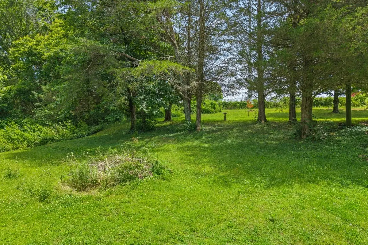 00 Buck Brown Street, Englewood, TN 37329 - #1