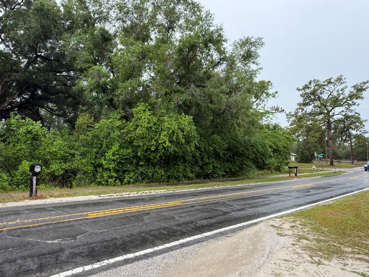 34184 Ridge Manor Blvd, Dade City, FL 33523 - #1