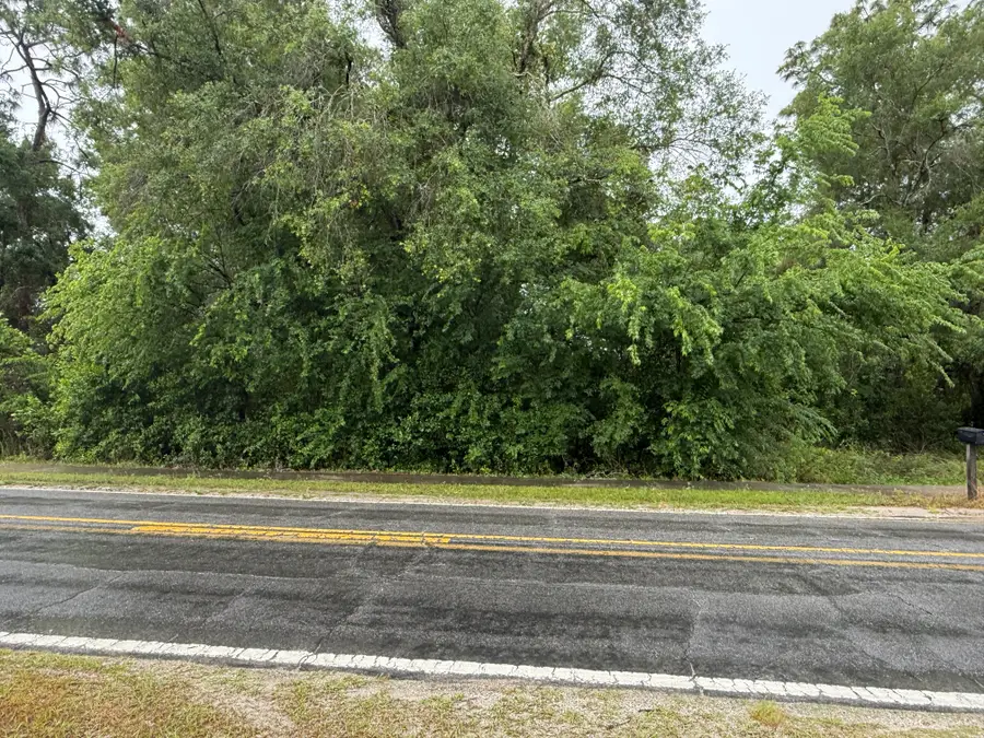 34184 Ridge Manor Blvd, Dade City, FL 33523 - #2