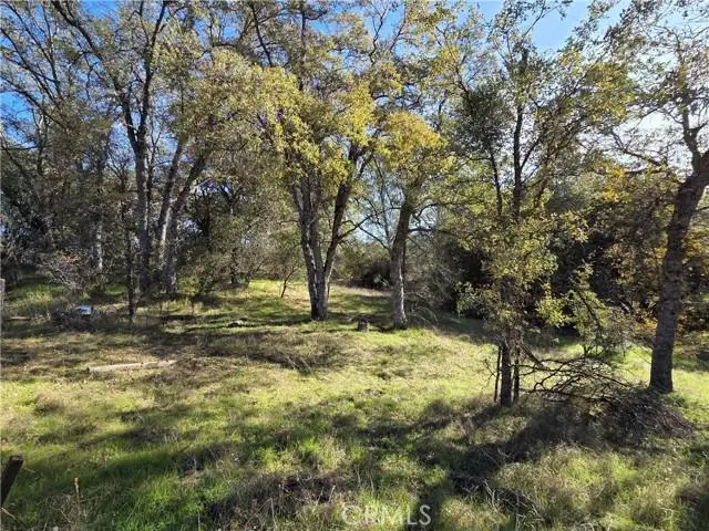 12 12.19 Ac Road 222, North Fork, CA 93643 - #1