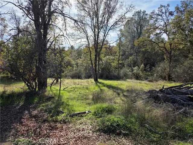 12 12.19 Ac Road 222, North Fork, CA 93643 - #2