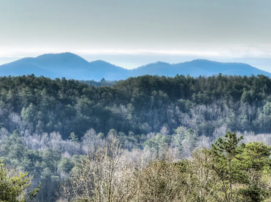 500 Evening Shade Walk, Mineral Bluff, GA 30559 - #3