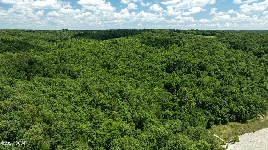 71.9 Acres Sugar Valley Circle, Pineville, MO 64856 - #3