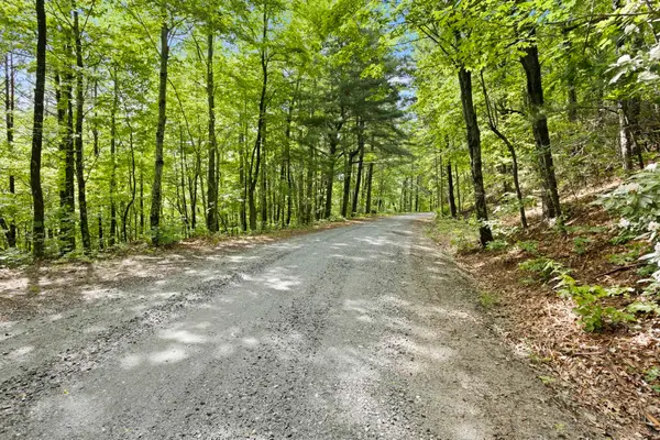 430 N Lakeview Drive, Tryon, NC 28773