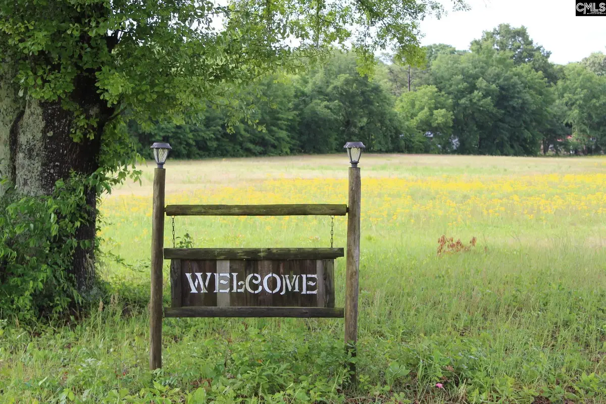 2901 Bethune Road, Bethune, SC 29009 - #1