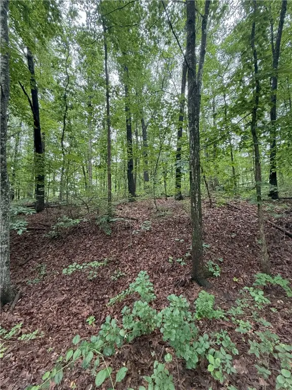 12 Shildon Circle, Bella Vista, AR 72714 - #3