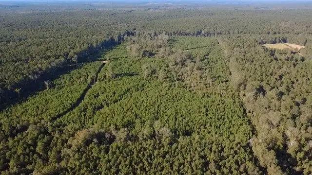 0 Pacton-alexandria Road, Winnfield, LA 71483 - Image #2