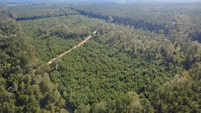 0 Pacton-alexandria Road, Winnfield, LA 71483 - Image #3