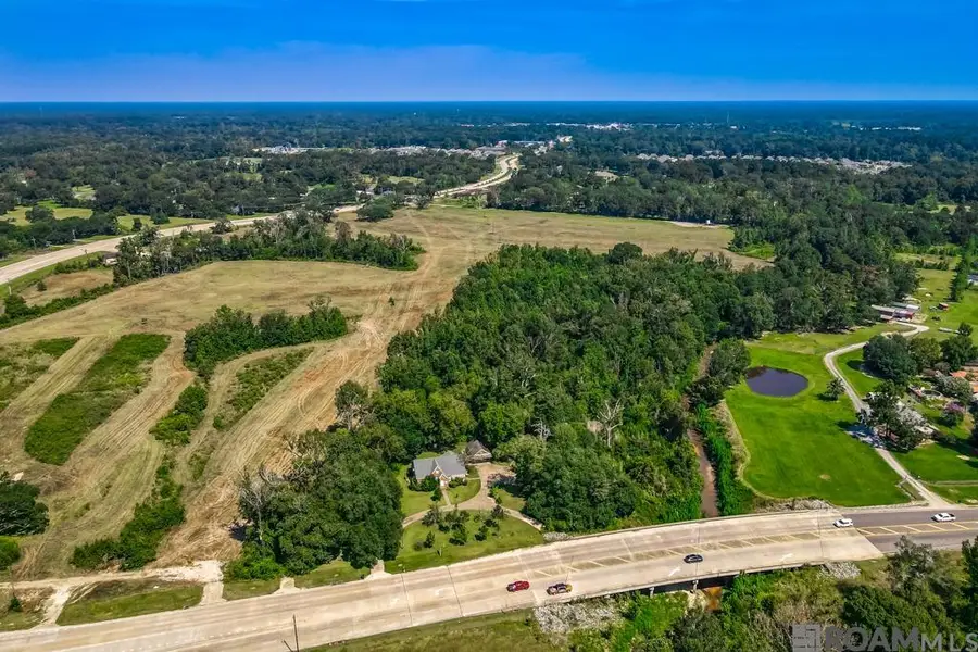 14871 Greenwell Springs Rd, Greenwell Springs, LA 70739 - #3