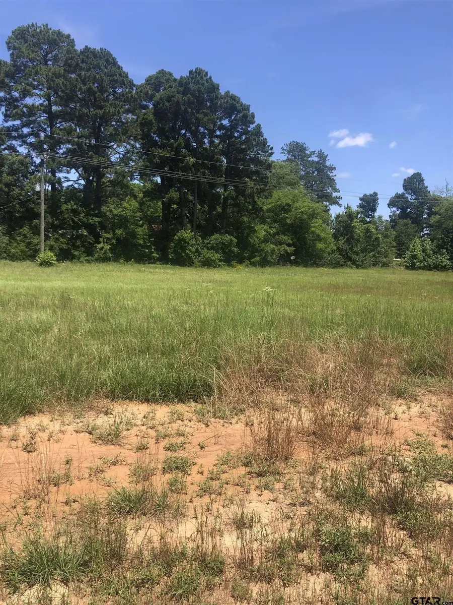 TBD Meadow Lane, Naples, TX 75568 - Image #2