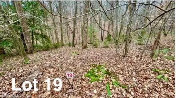 LOT 19 Woods Haven Lane, Stuart, VA 24171
