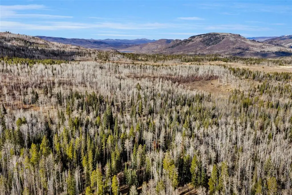 20331 King Bolt Way, Oak Creek, CO 80467 - Image #1