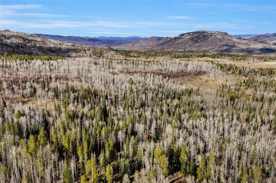 20331 King Bolt Way, Oak Creek, CO 80467 - Image #2